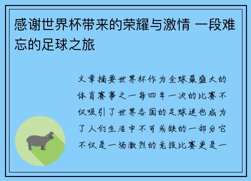 感谢世界杯带来的荣耀与激情 一段难忘的足球之旅